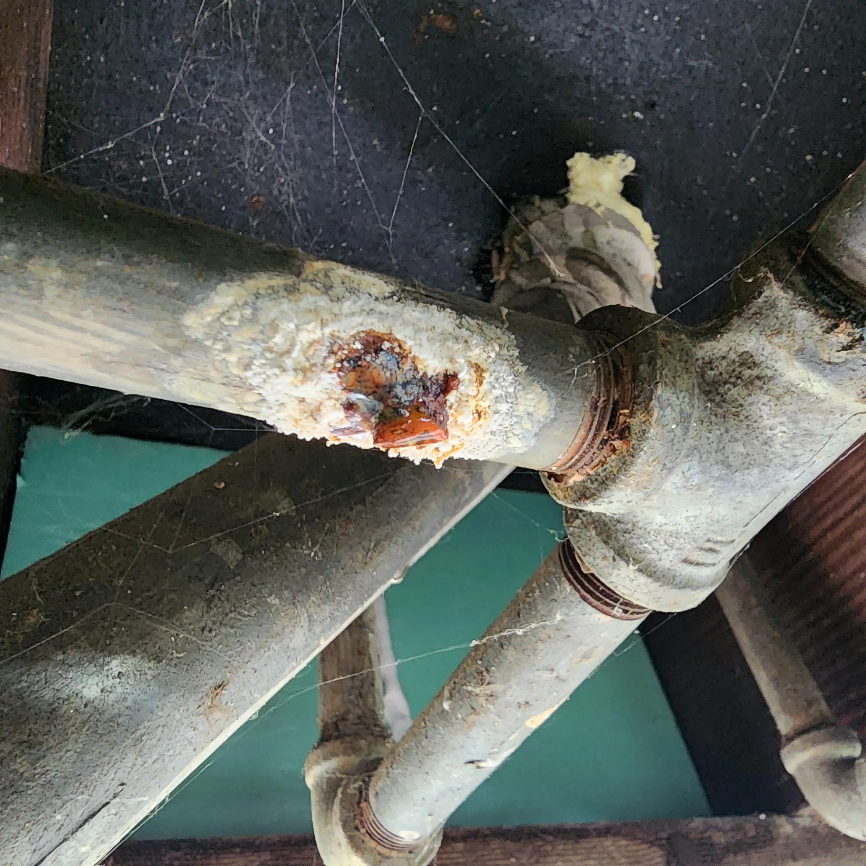 Galvanized water pipe connection with corrosion near a bathroom shutoff valve.