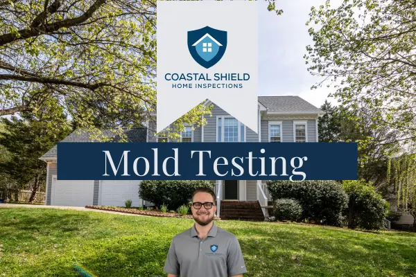Mold Testing Inspection.