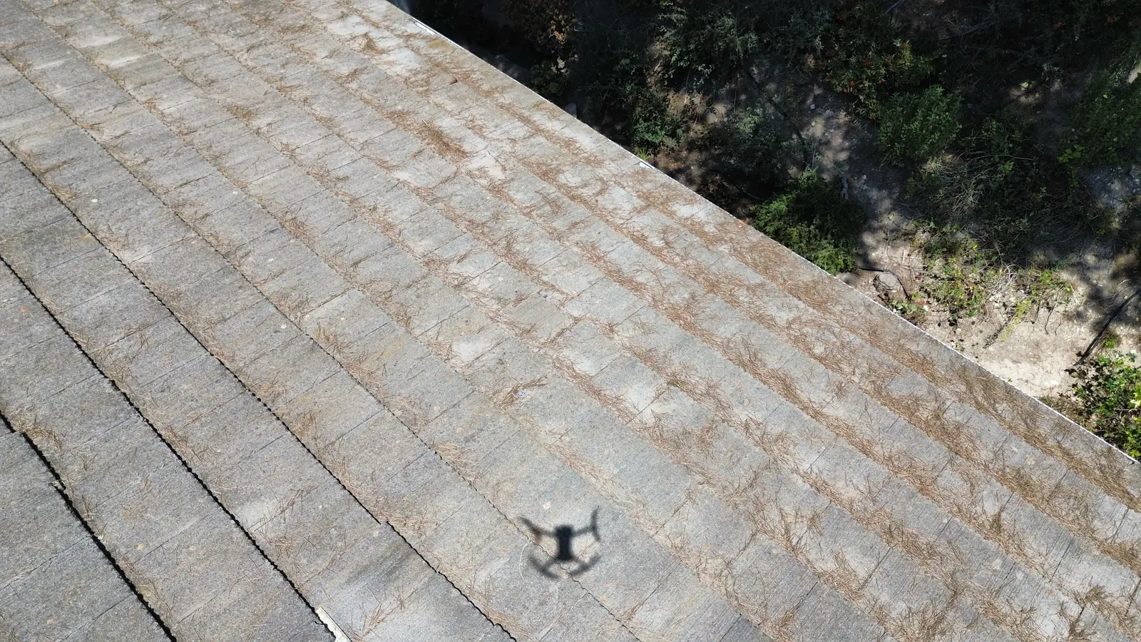 Low drone pass over a roof slope with needle debris accumulating along the shingle courses