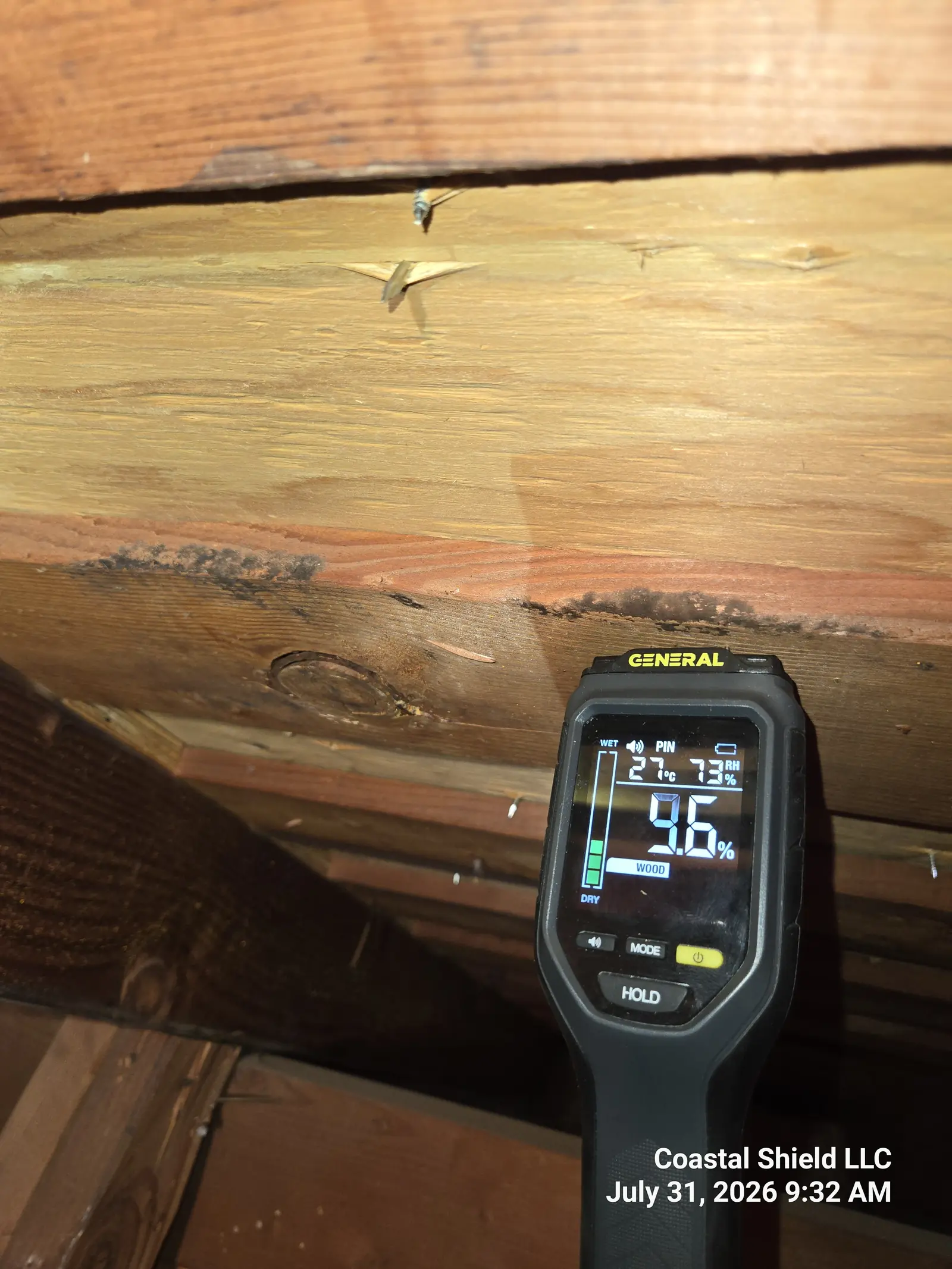 Moisture meter confirming damp attic framing with visible staining during a Santa Barbara mold inspection