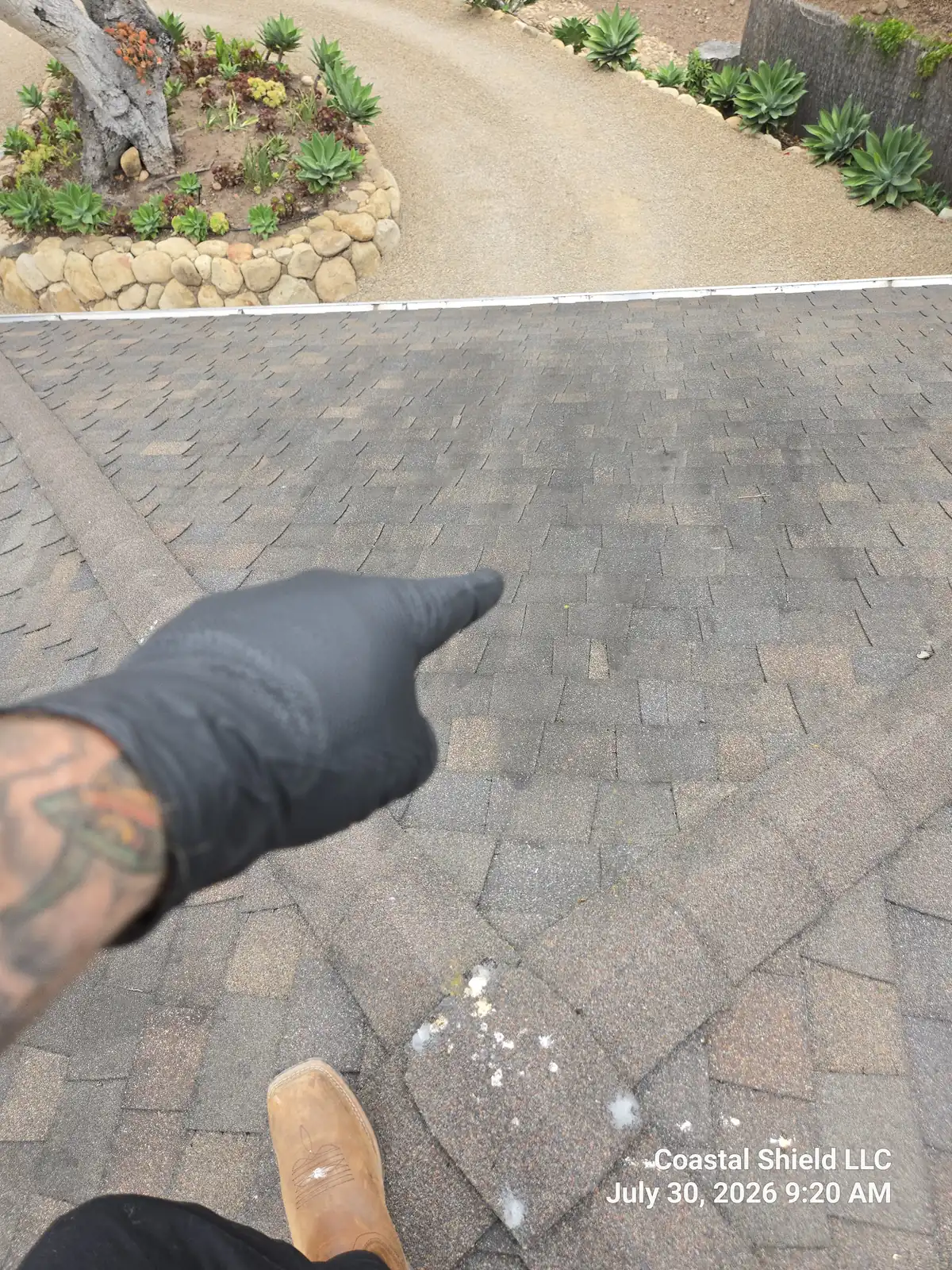 Inspector's view standing on a Santa Barbara shingle roof, gloved hand pointing out granule wear at the eave