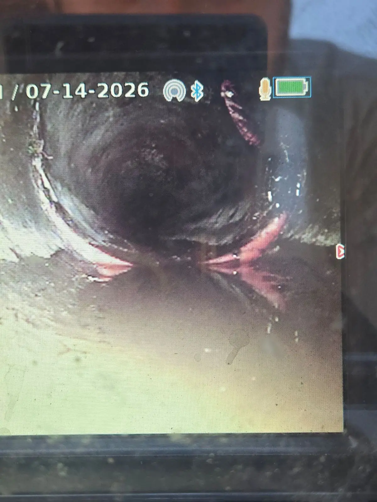 Root intrusion inside a clay sewer lateral, seen live on our camera monitor during a scope